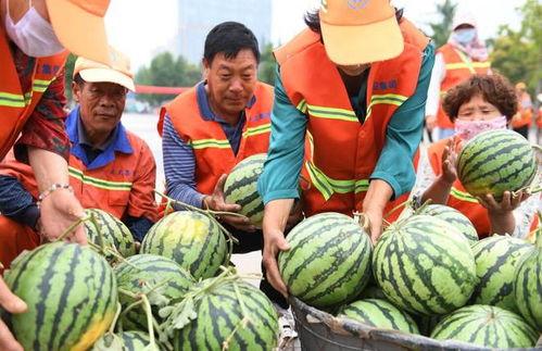 郯城吃瓜最新事件爆料视频,最新爆料视频揭露惊人真相  第1张