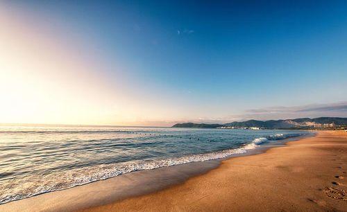海南海边最新消息爆料,神秘海岛发现珍稀生物，旅游胜地再掀热潮  第1张