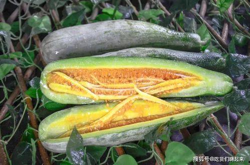 西藏网红吃瓜入口,入口瞬间引发全网热议！  第1张